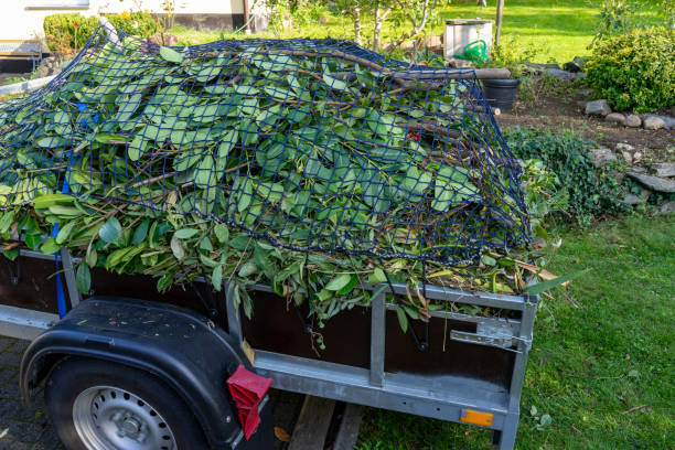 Best Hoarding Cleanup  in Caruthersville, MO